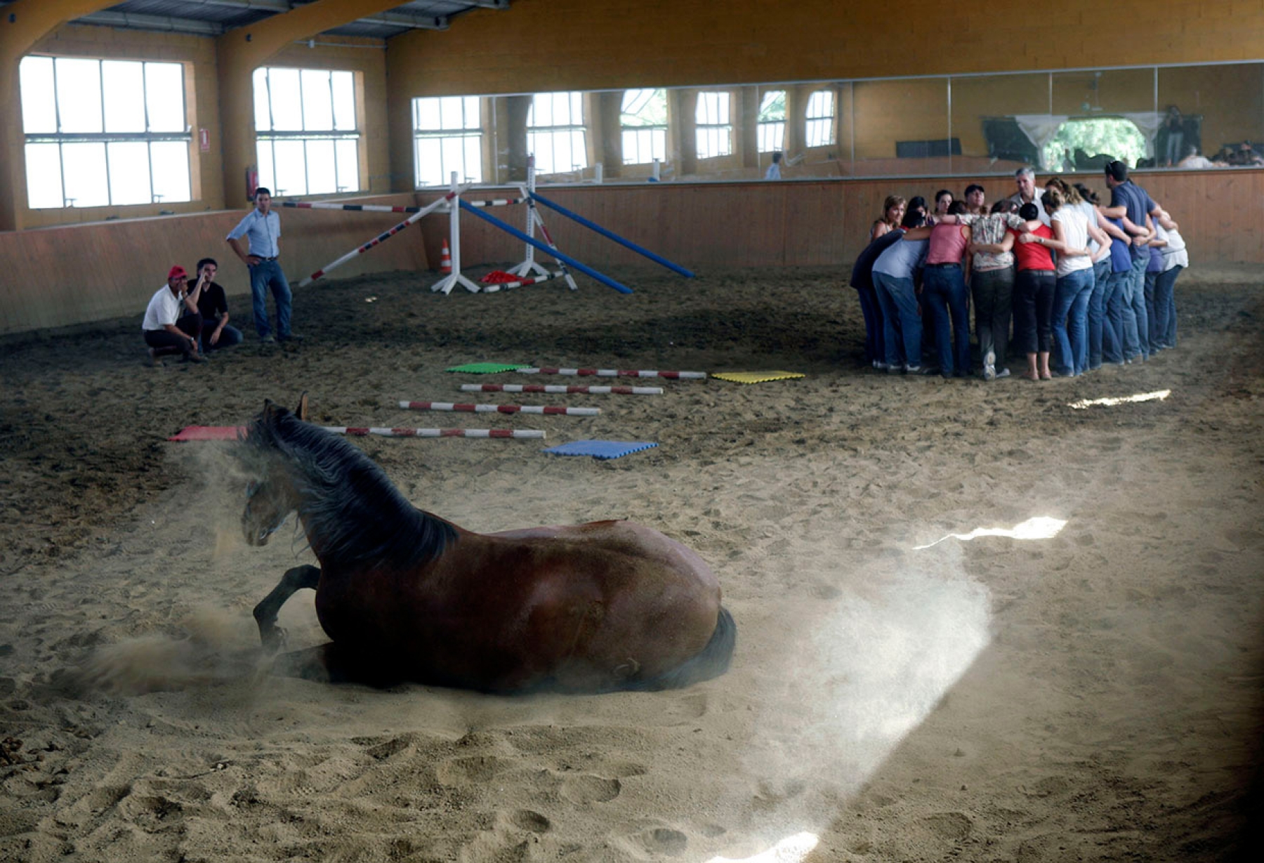 Cavalls i Lideratge / CRISTINA FORÉS